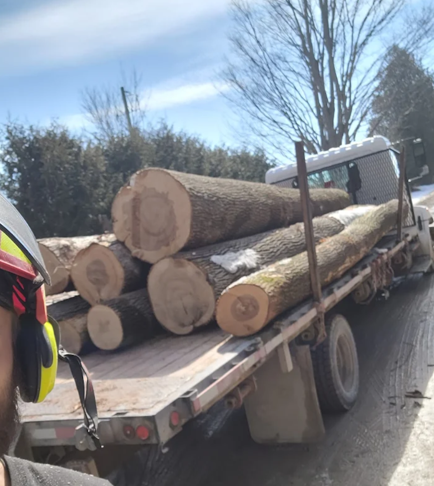 lot clearing near me.png