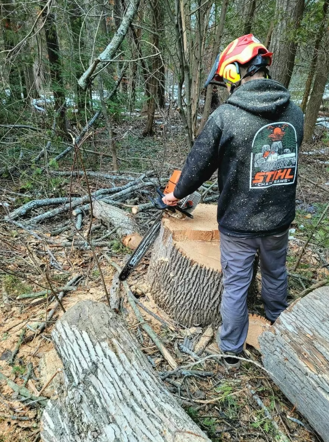 tree care services simcoe county 2 1 3.png
