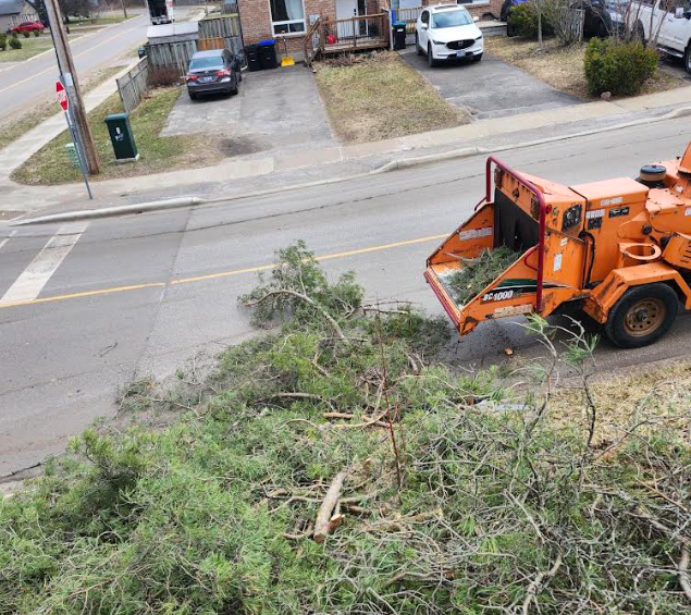 storm damage cleanup barrie ontario
